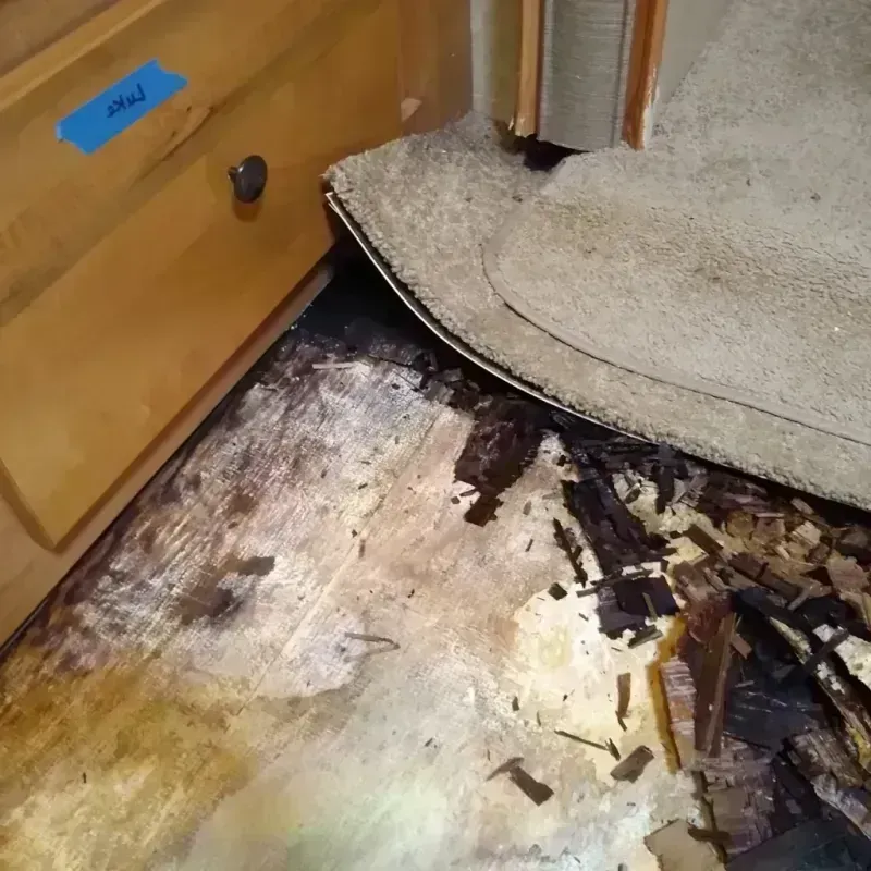 Wood Floor Water Damage in Albany County, NY